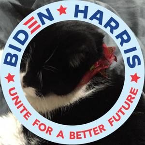 Meet your Posher, Sue